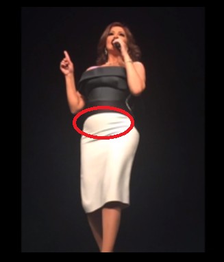 Elissa causes a buzz because of these pictures